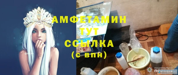PSILOCYBIN Каменка