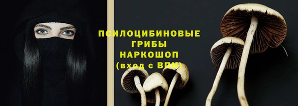 соль ск Каменск-Шахтинский