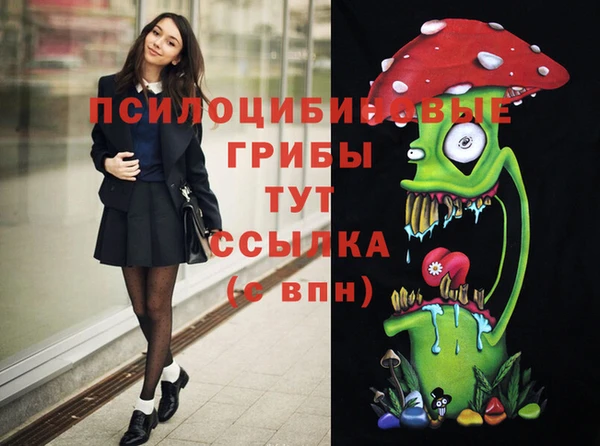 PSILOCYBIN Каменка
