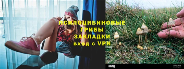 PSILOCYBIN Каменка