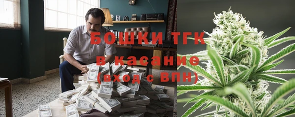 PSILOCYBIN Каменка