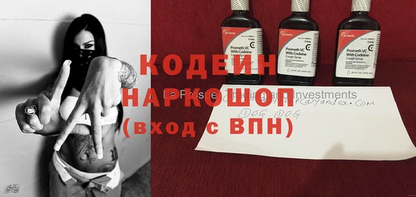 PSILOCYBIN Каменка
