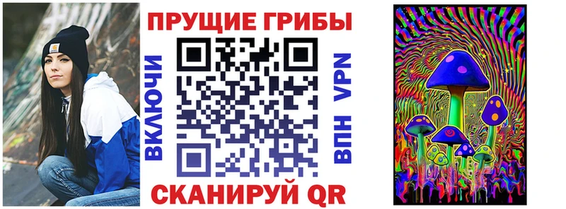 Галлюциногенные грибы Psilocybe  Купить  Королёв 